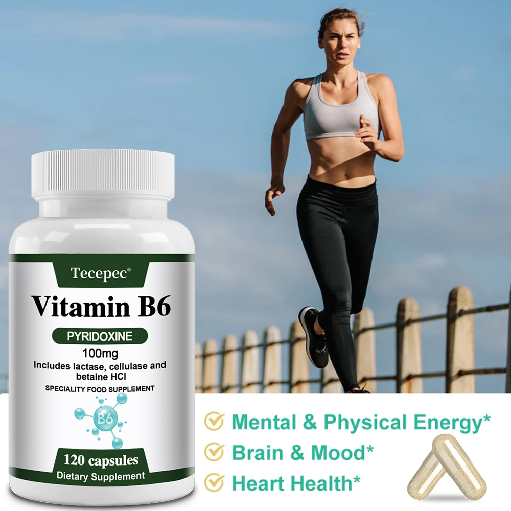 Cápsulas de Vitamina B6, Suple - Hair Care Vitamin reseña y precio